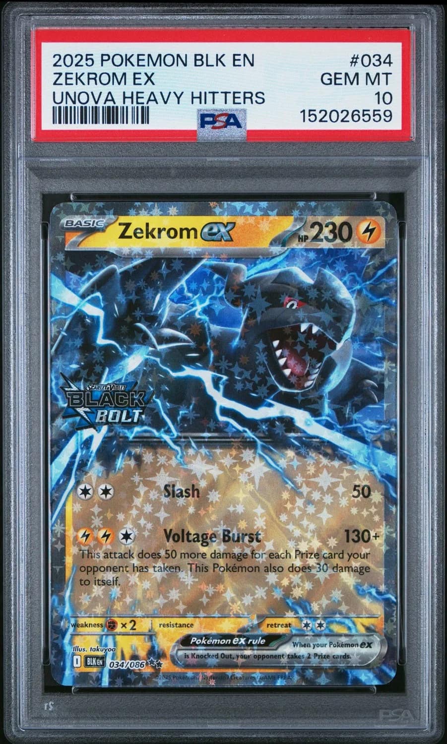 Zekrom Ex