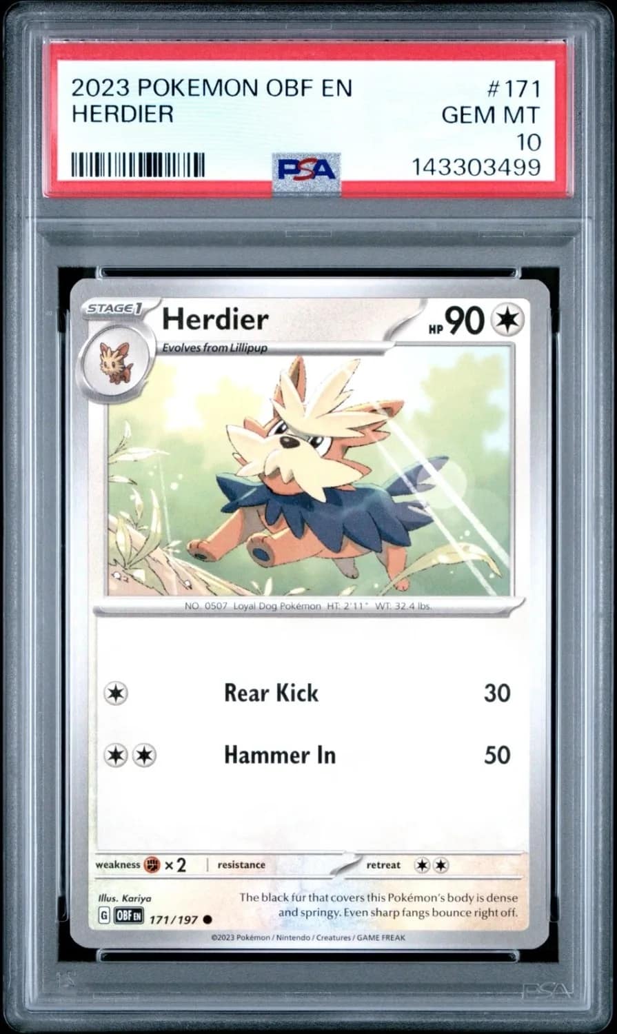 Herdier