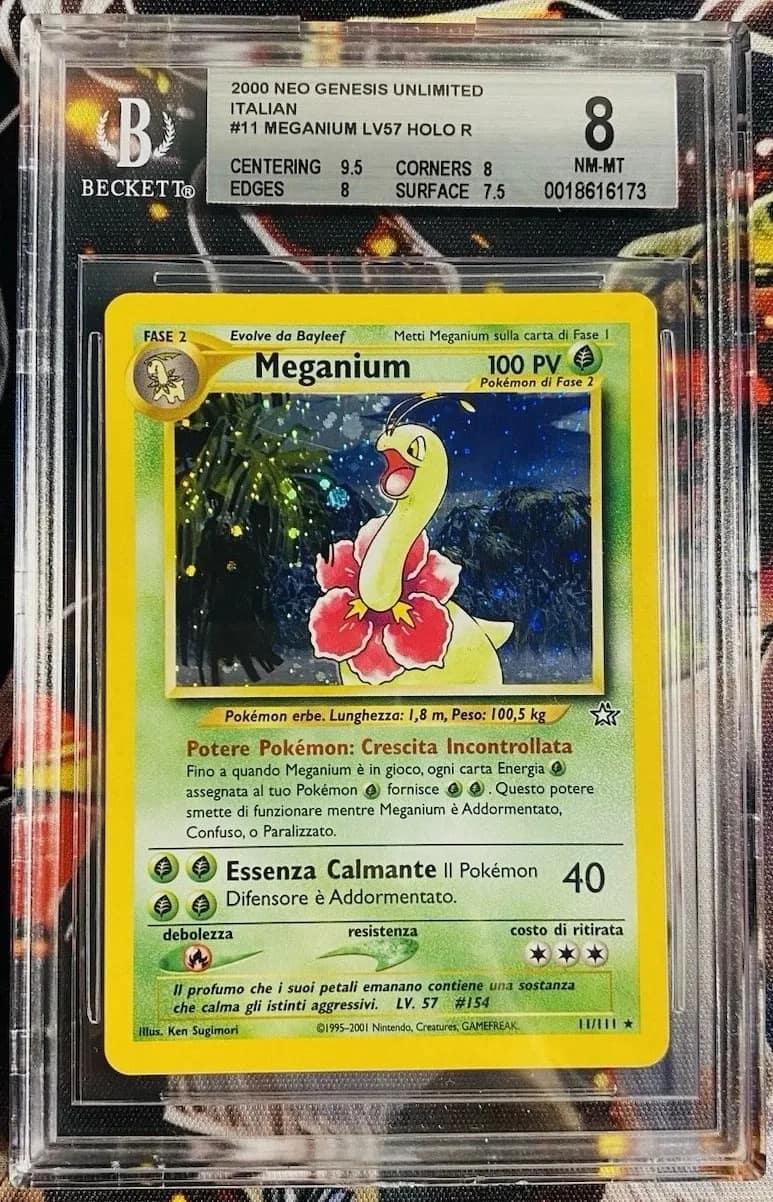 Meganium Holo R