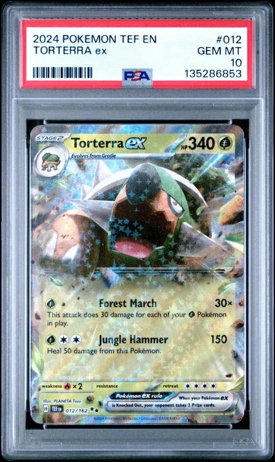 Torterra Ex