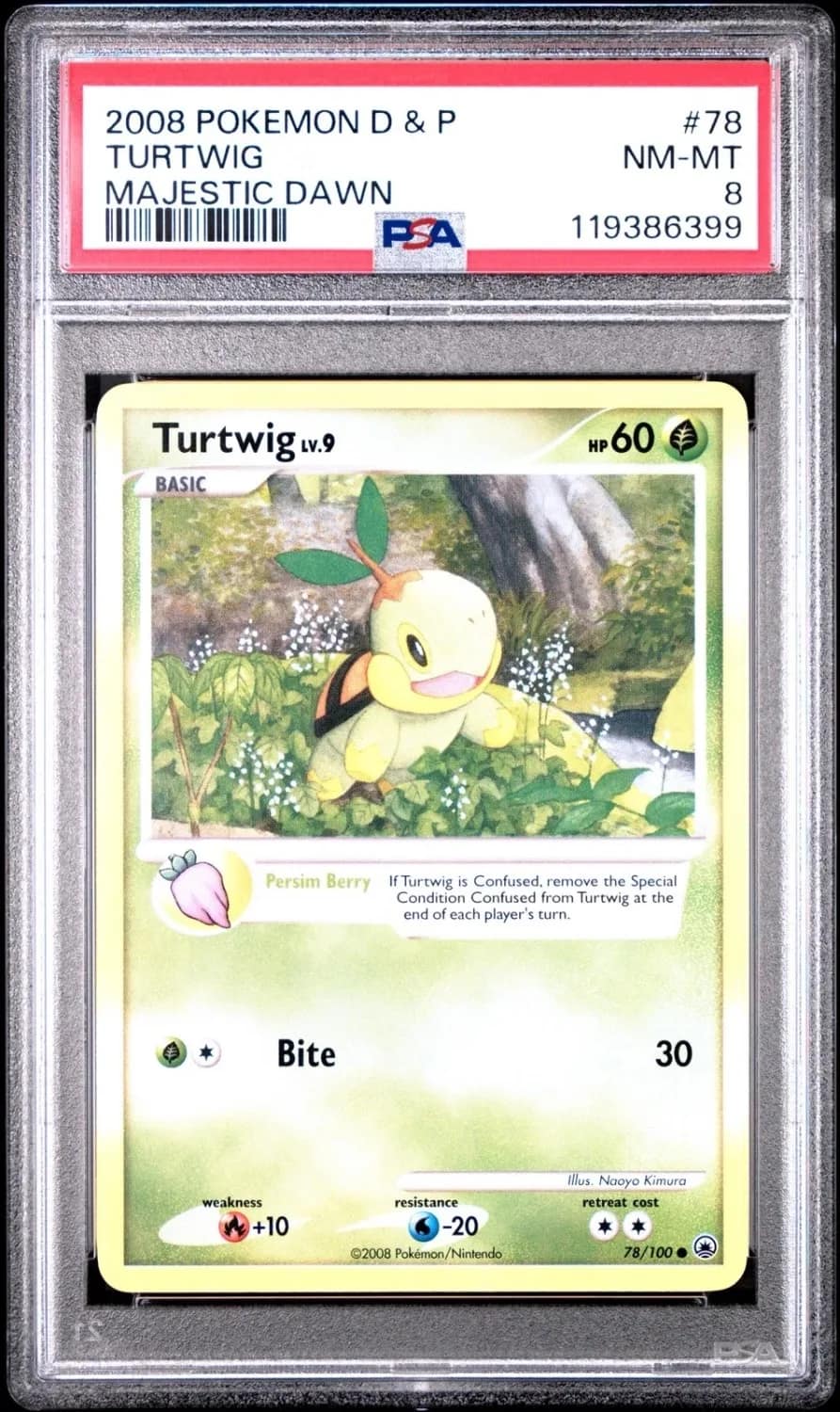 Turtwig