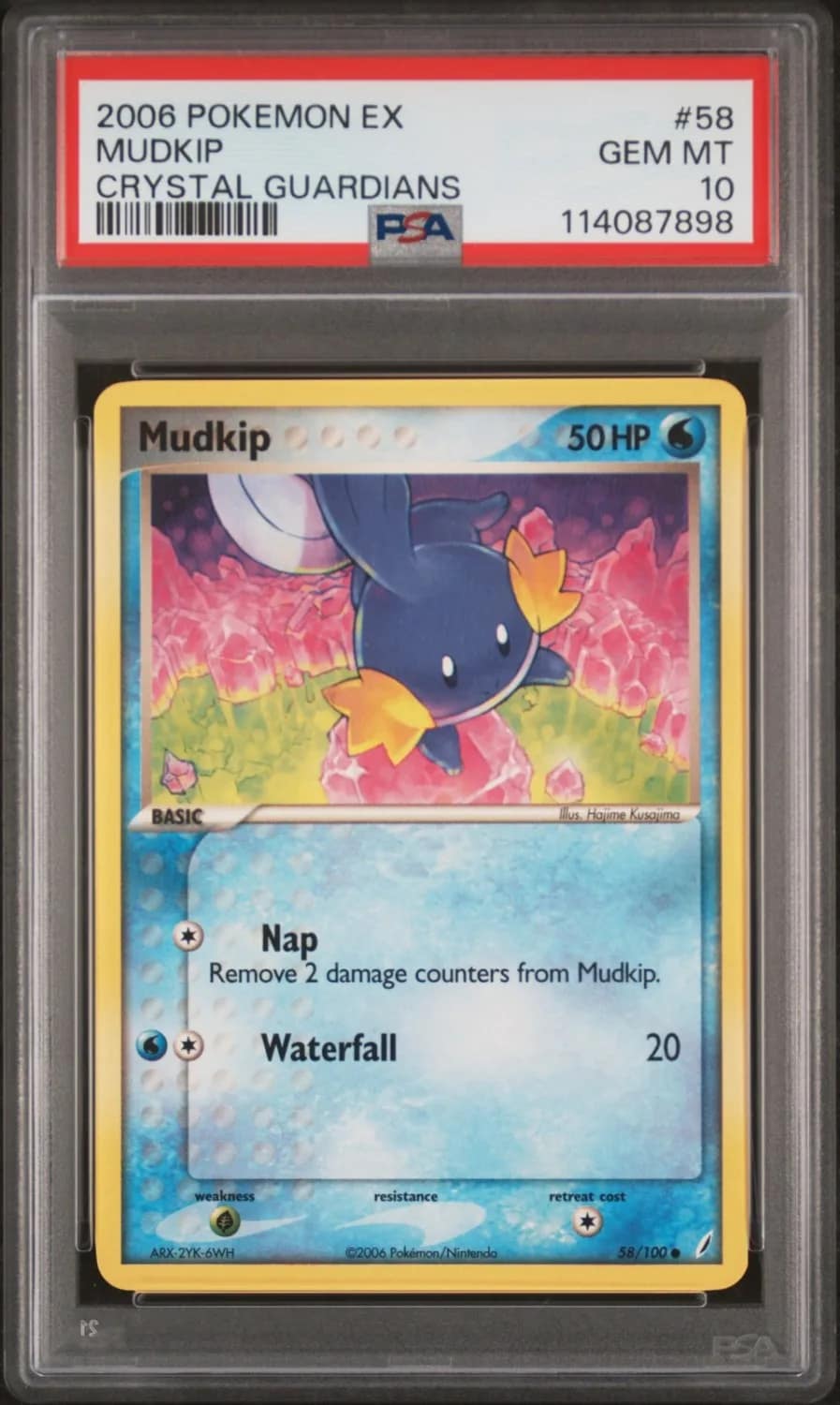 Mudkip