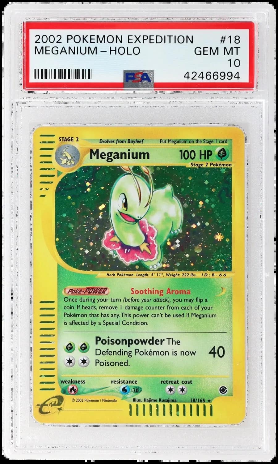 Meganium