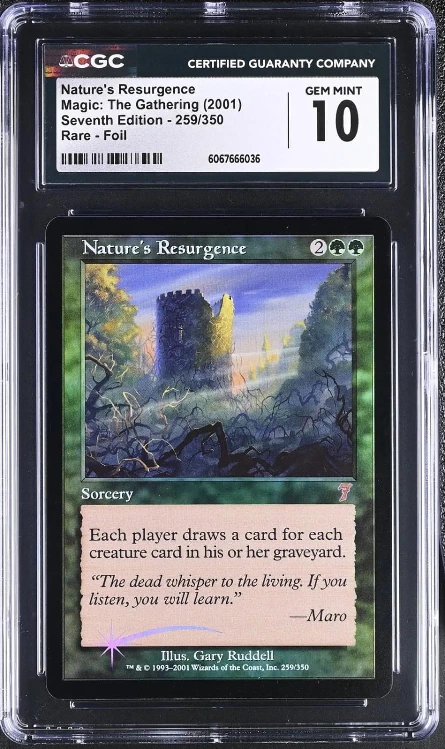 Nature'S Resurgence