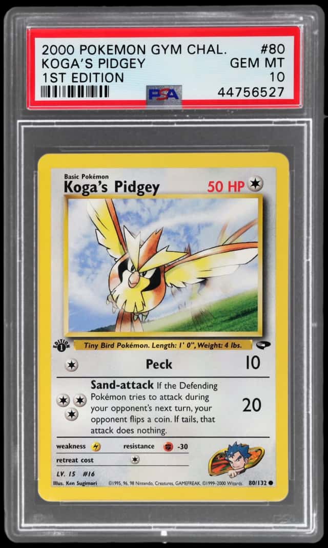 Koga's Pidgey