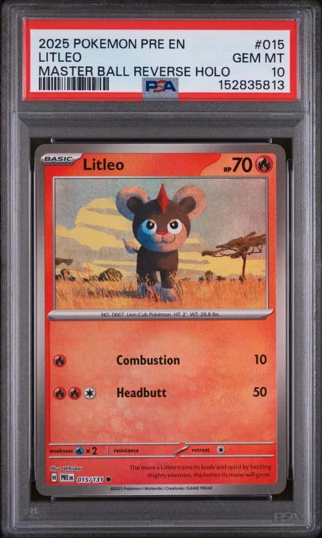 Litleo