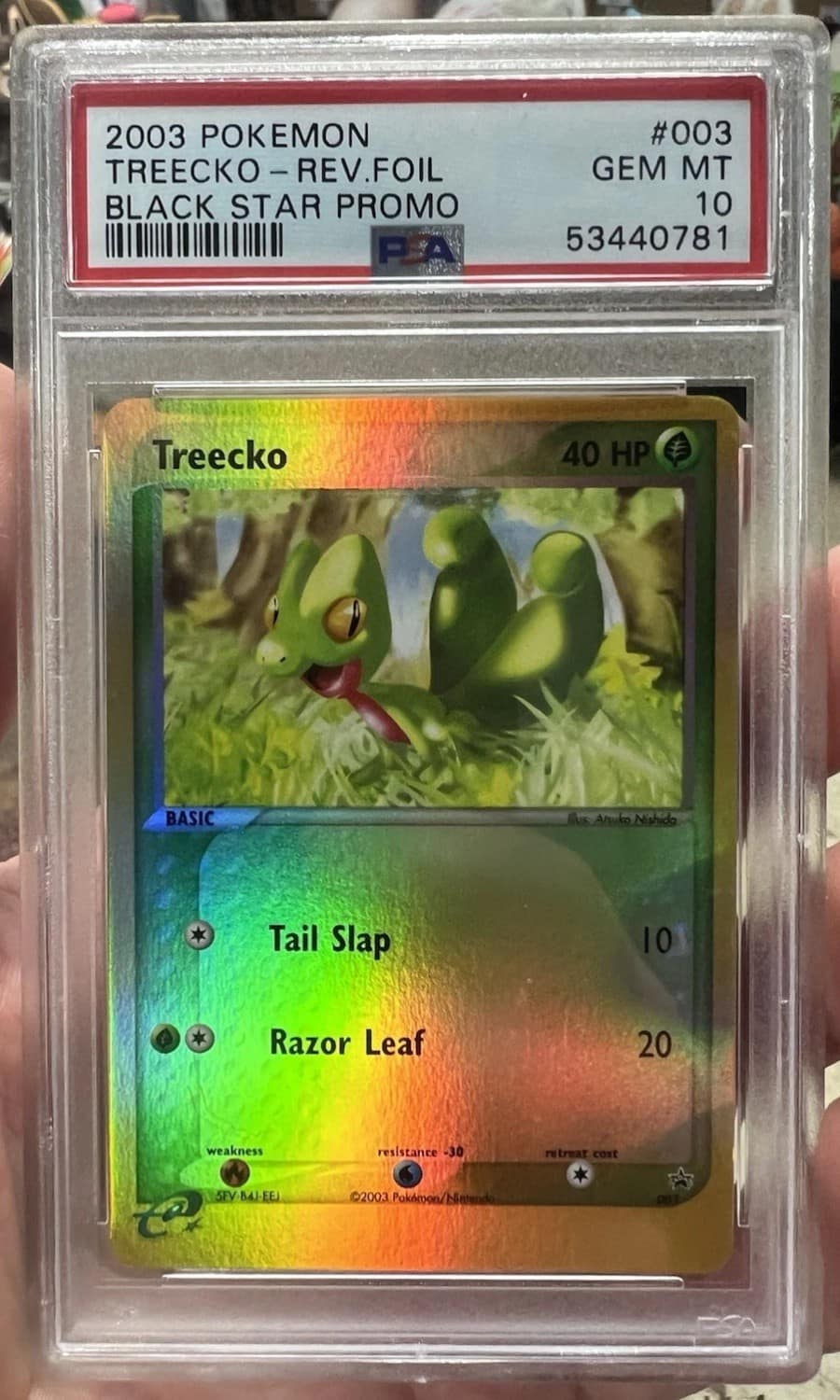 Treecko