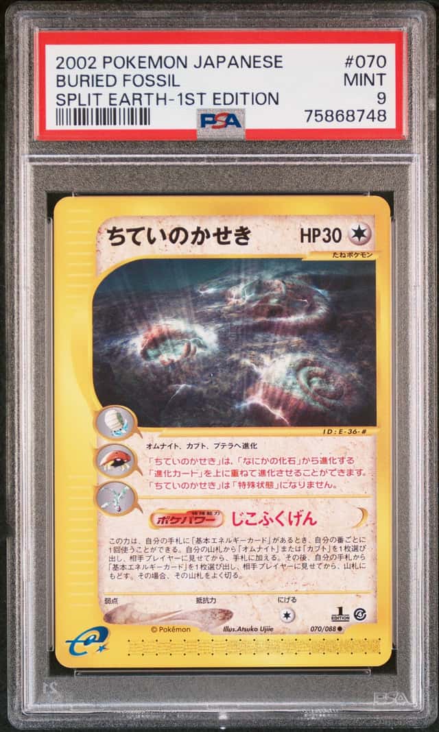Buried Fossil