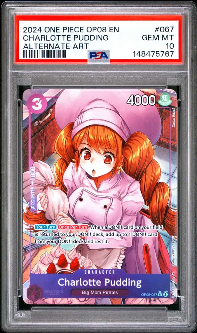 Charlotte Pudding
