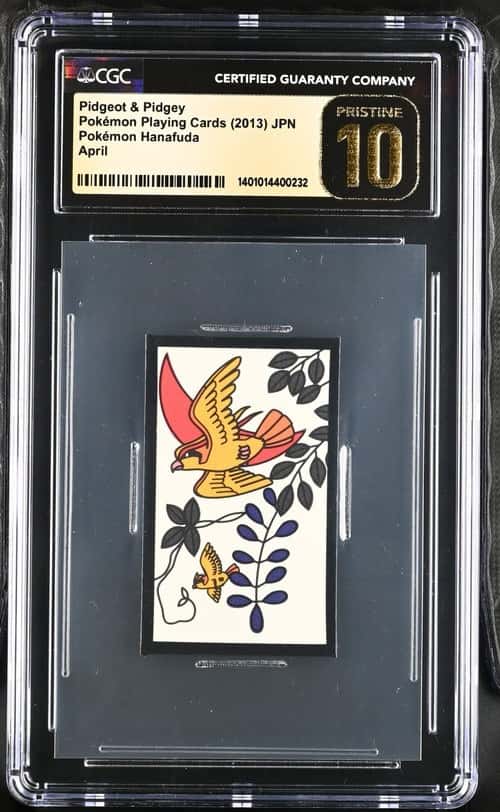 Pidgeot & Pidgey