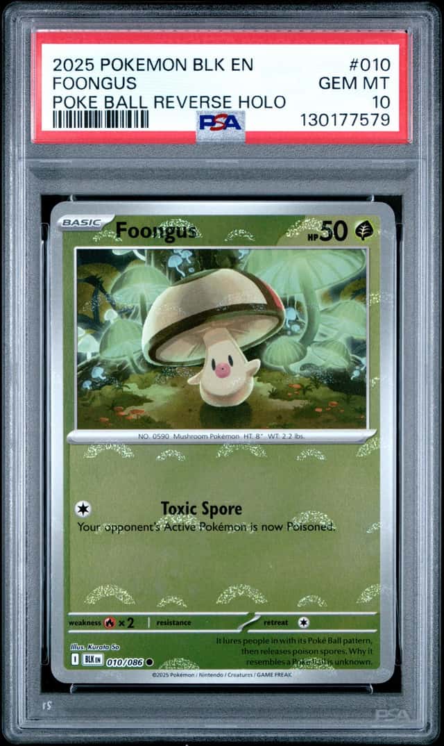 Foongus
