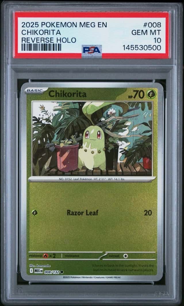Chikorita