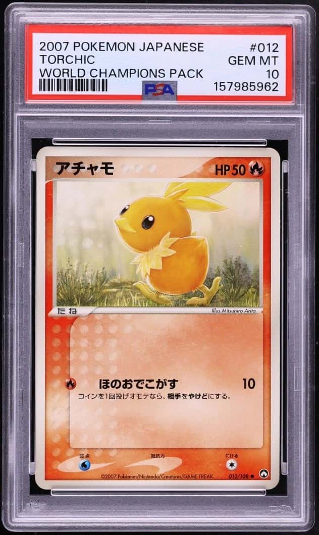 Torchic