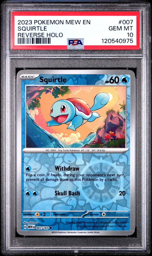 Squirtle