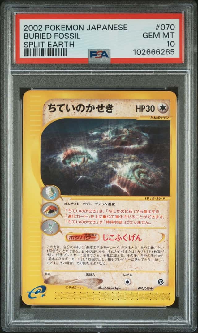 Buried Fossil