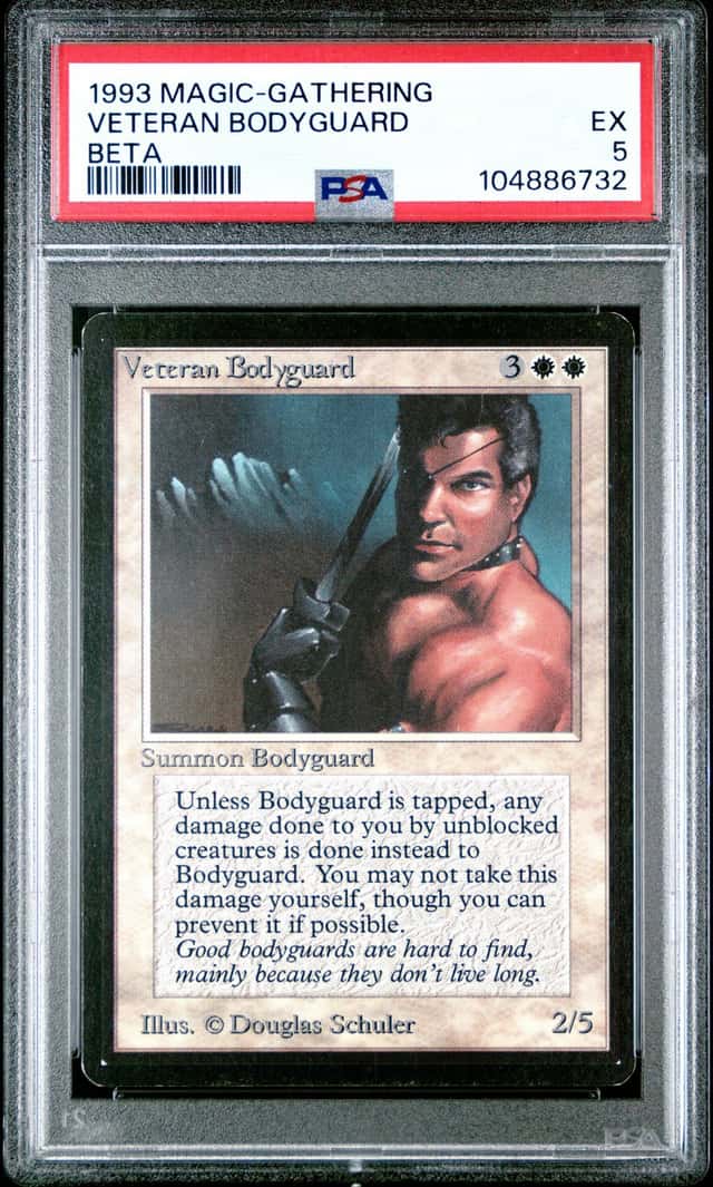 Veteran Bodyguard