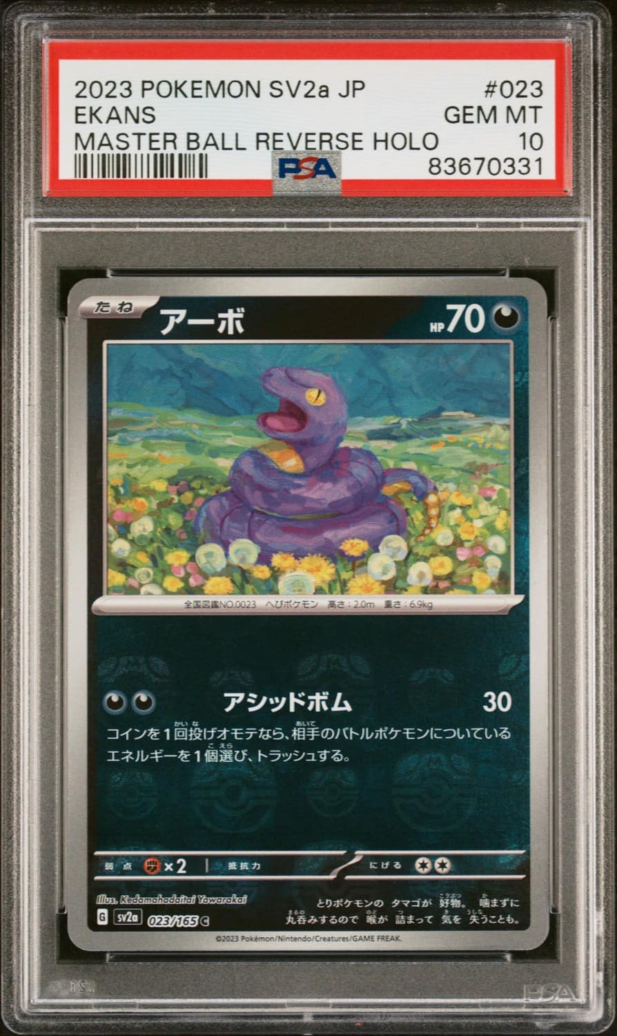 Ekans
