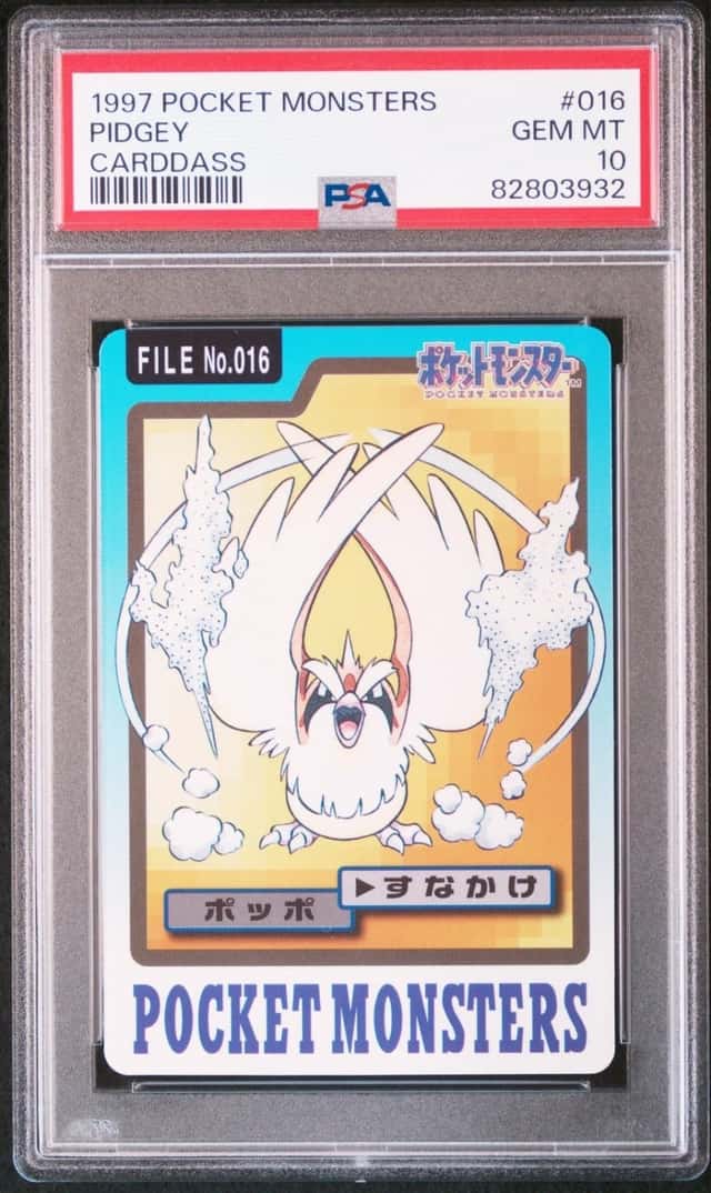 Pidgey