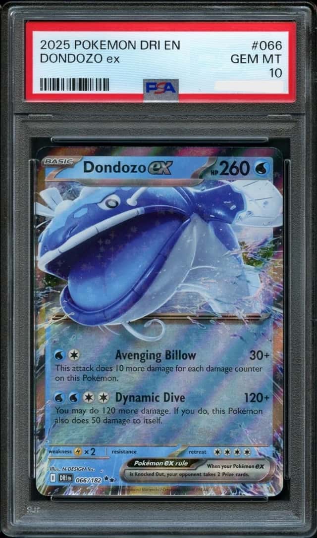 DONDOZO ex