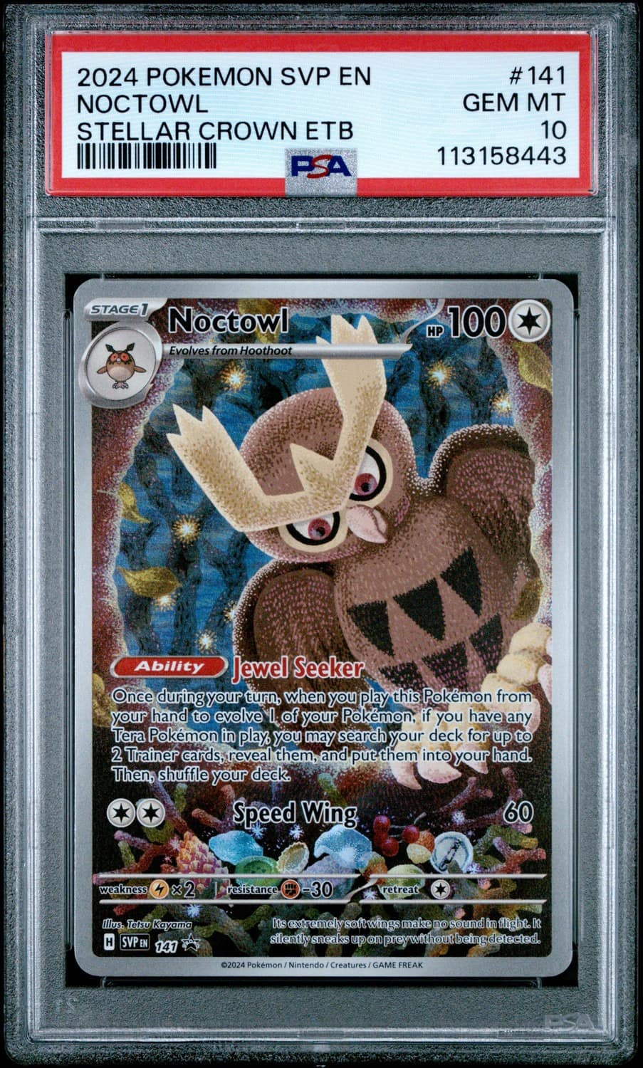 Noctowl