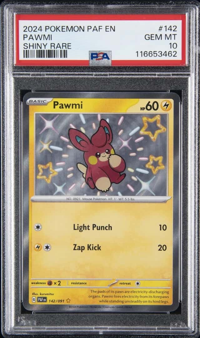 Pawmi