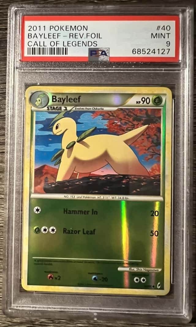BAYLEEF