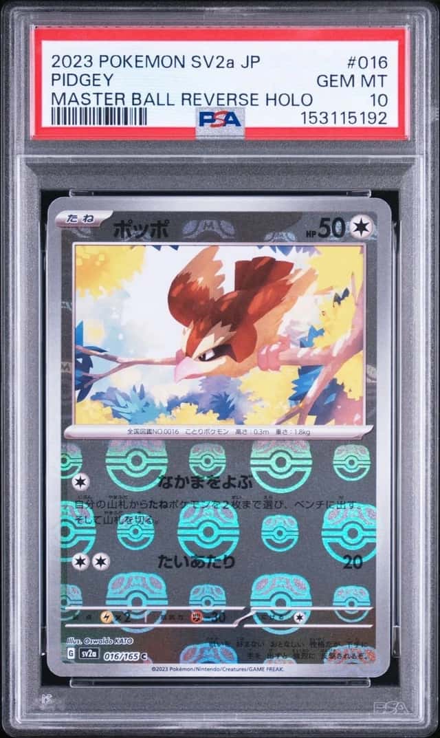 Pidgey