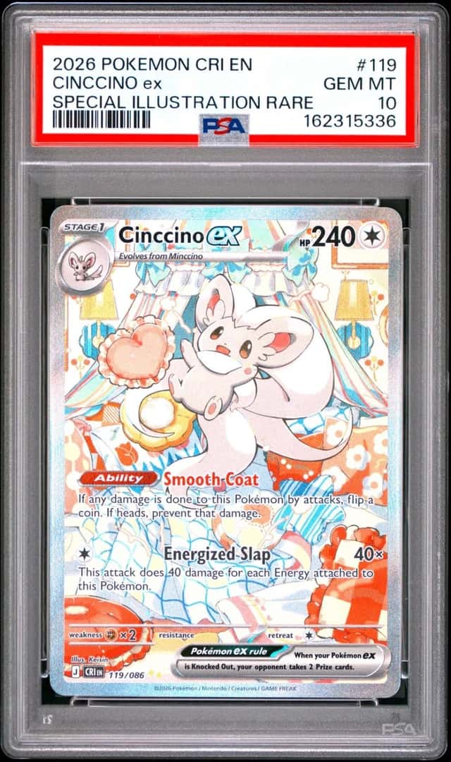 CINCCINO ex