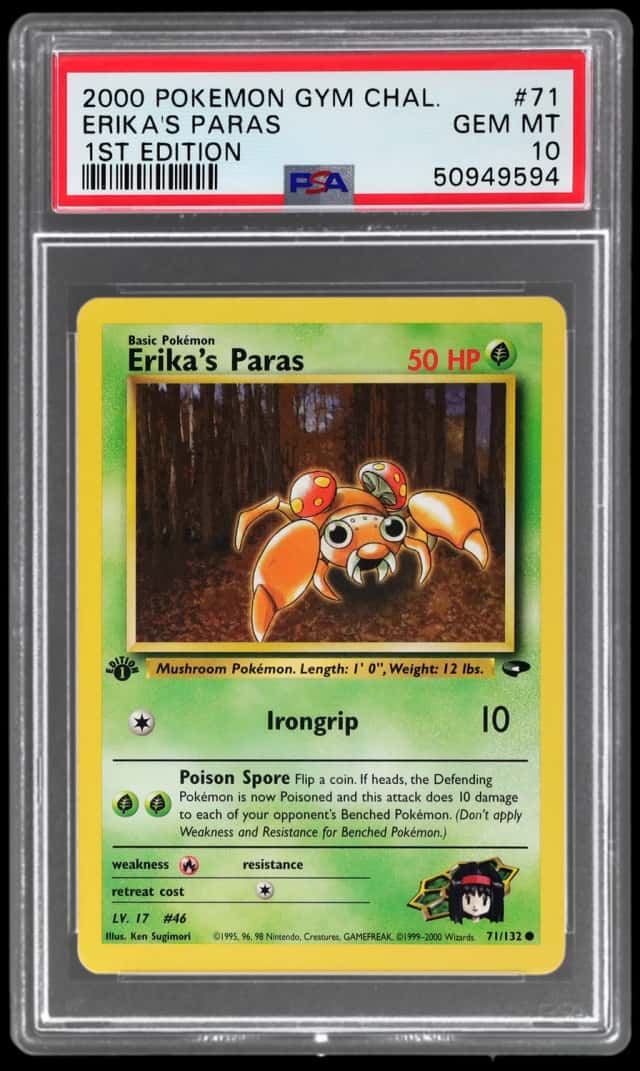 Erika's Paras