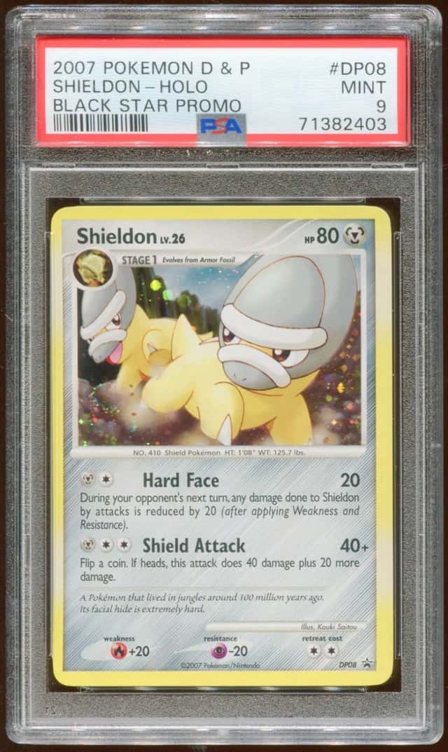Shieldon