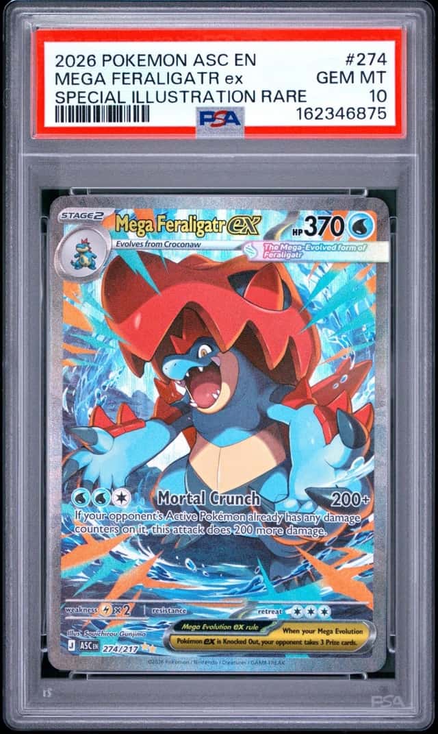 MEGA FERALIGATR ex