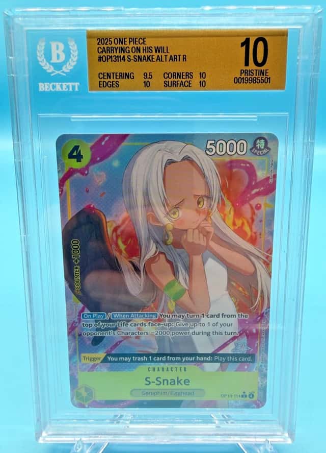 S-Snake