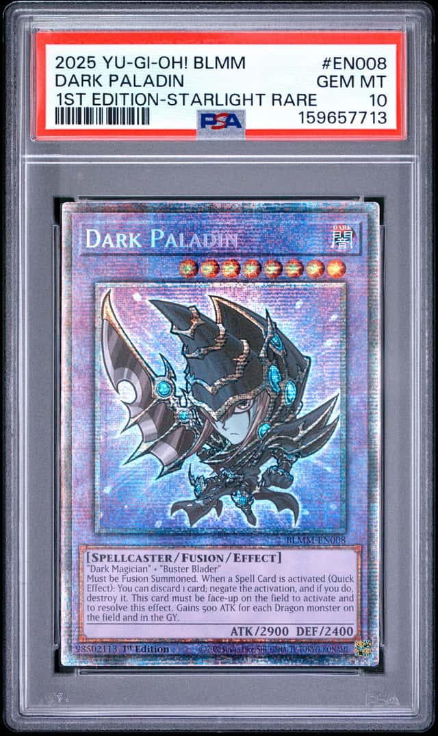 Dark Paladin