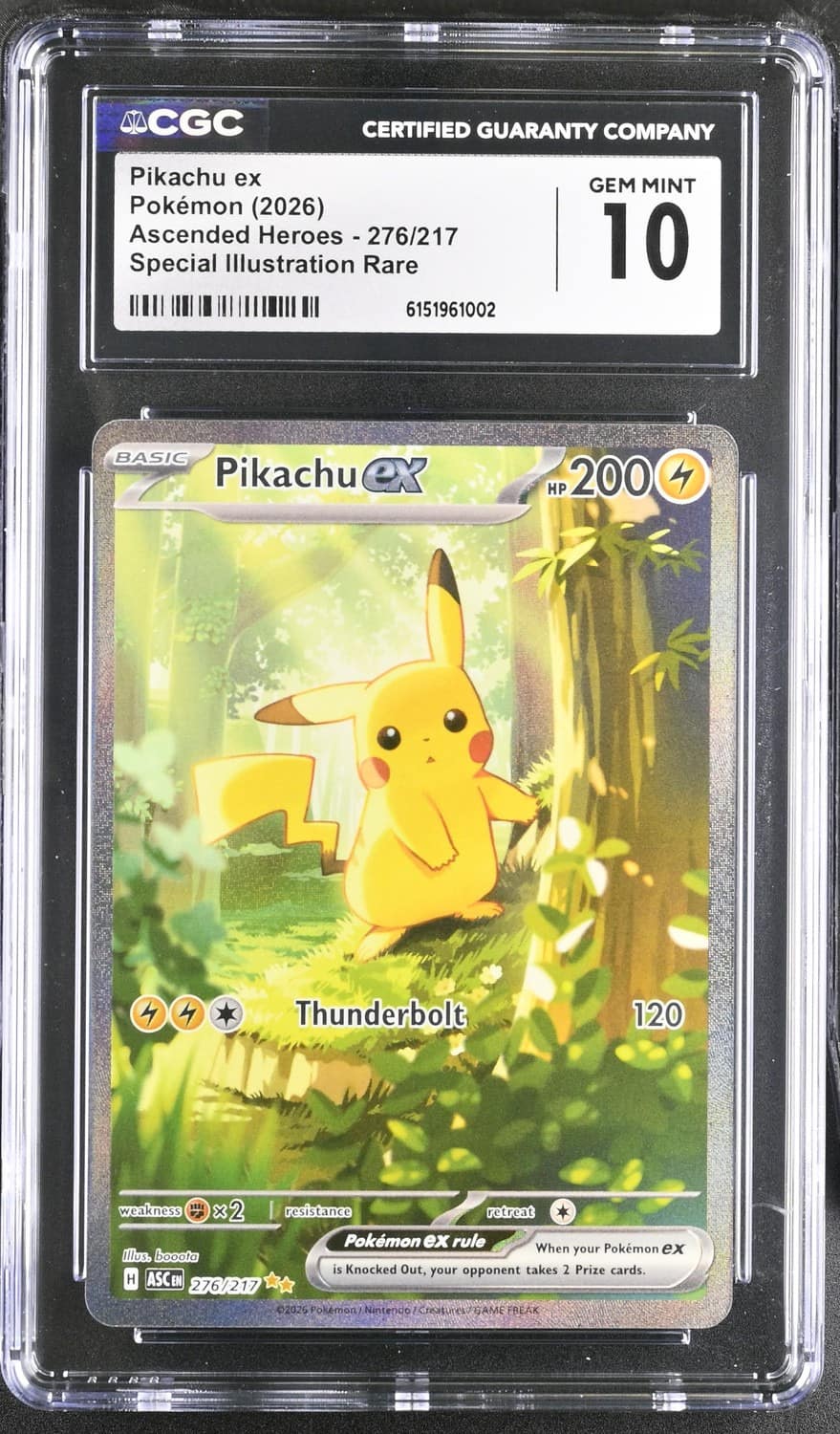 Pikachu Ex