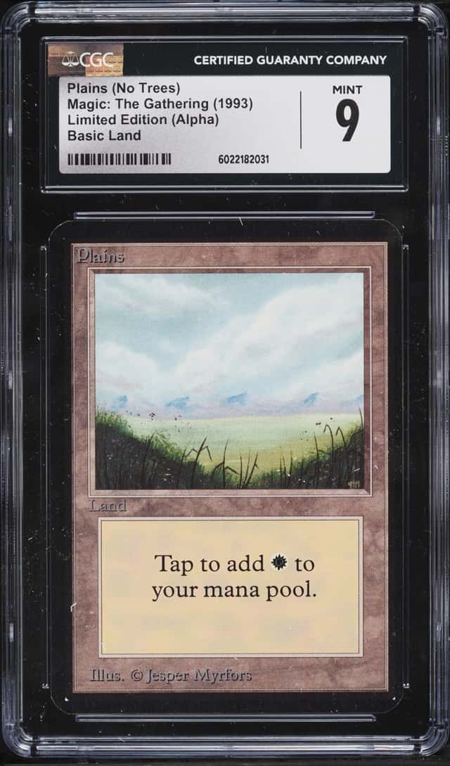 Plains