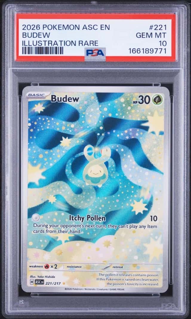 Budew