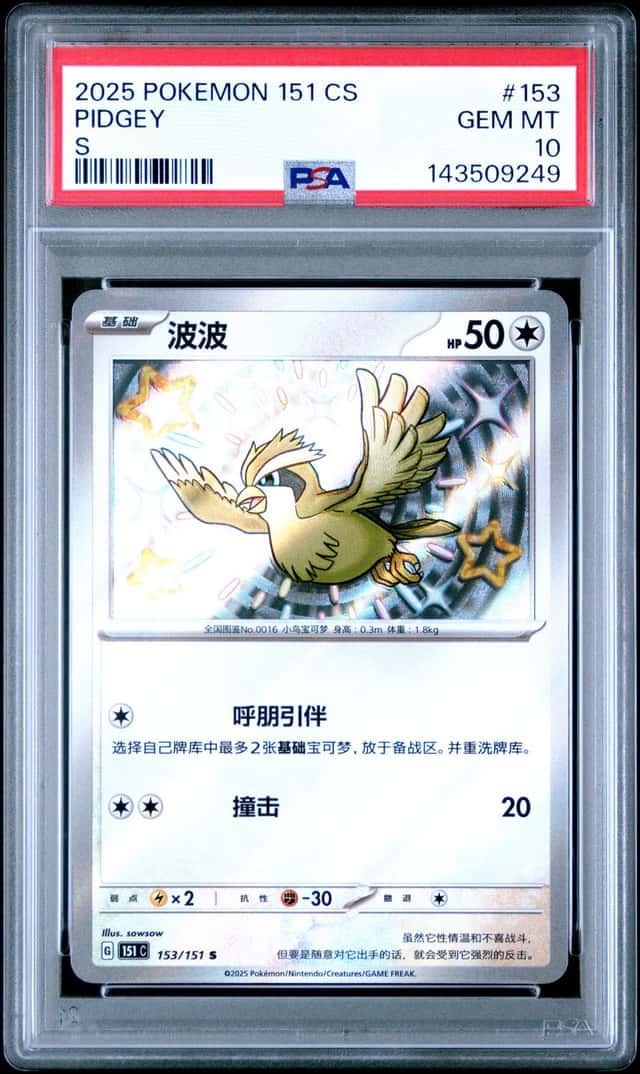 Pidgey