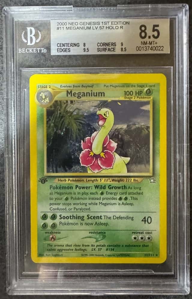 Meganium