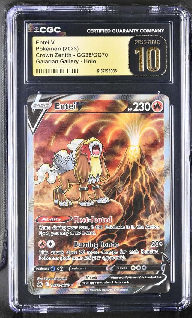 Entei V