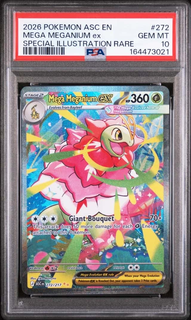 MEGA MEGANIUM ex