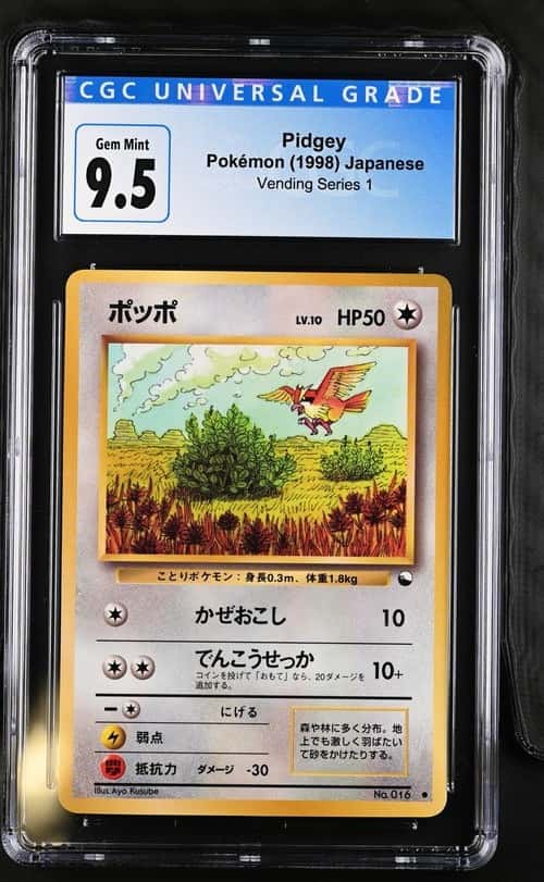 Pidgey