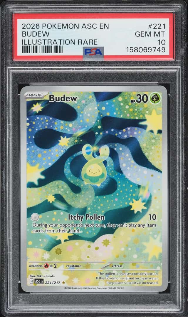 Budew