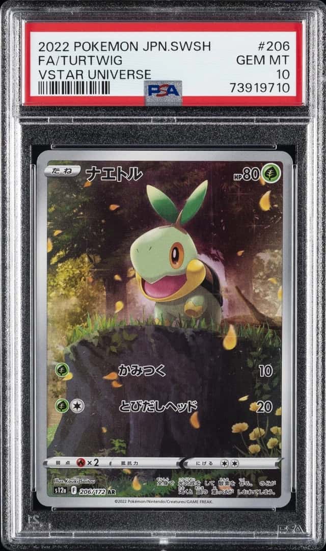 Turtwig