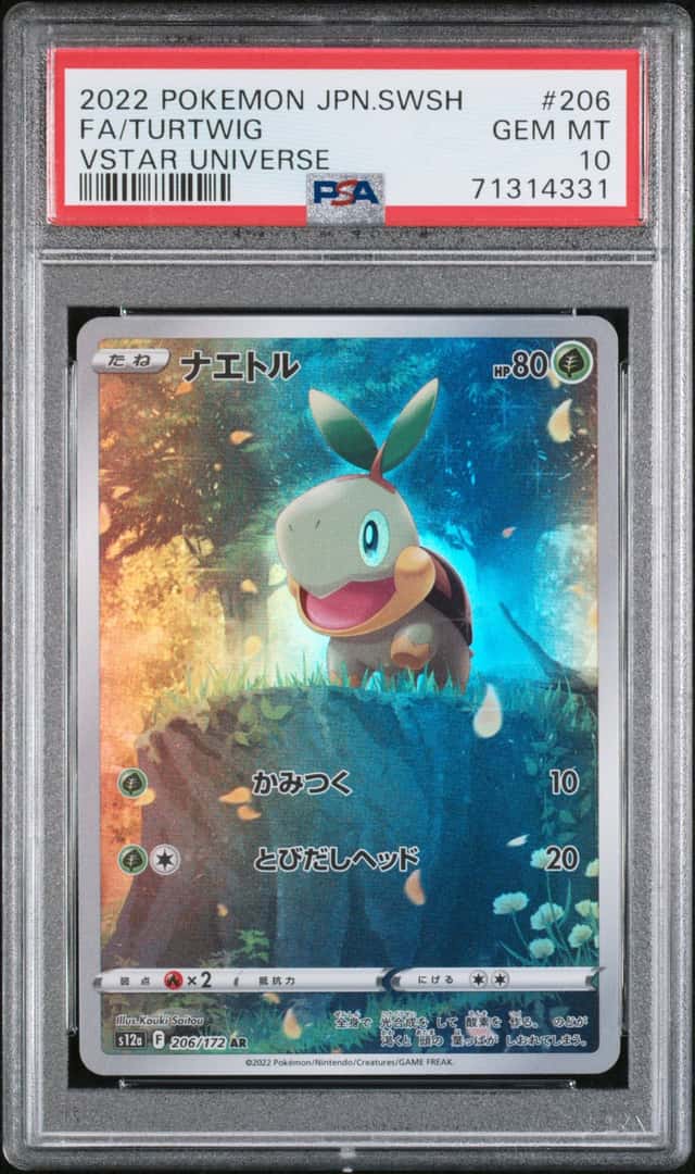 Turtwig