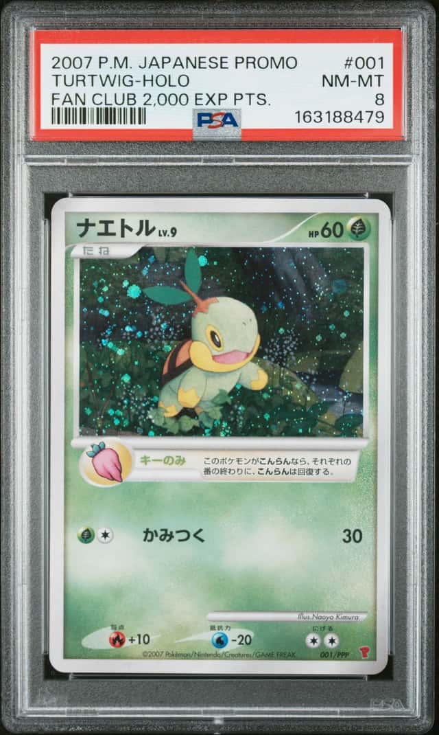 Turtwig