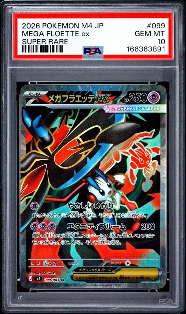 MEGA FLOETTE ex