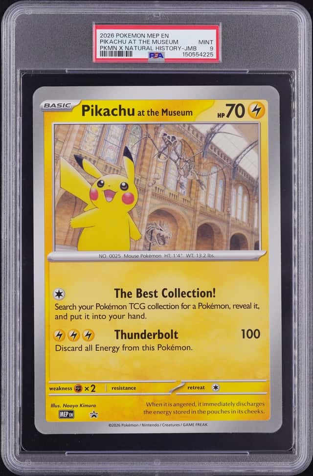 Pikachu At The Museum