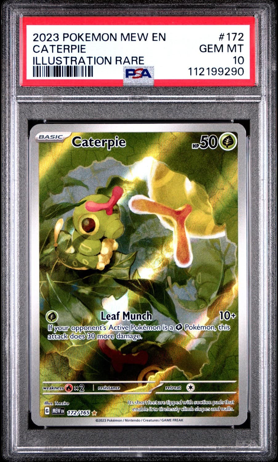 Caterpie
