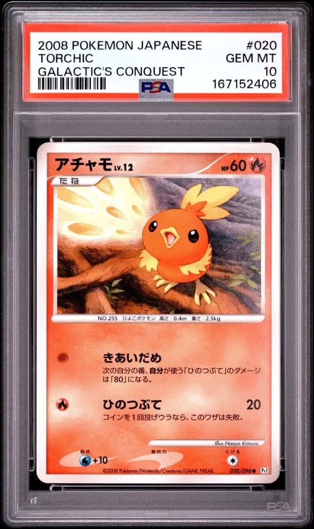 Torchic