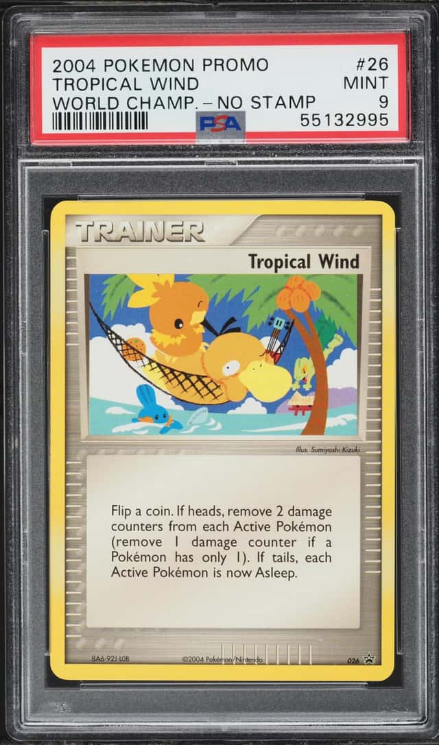 Tropical Wind